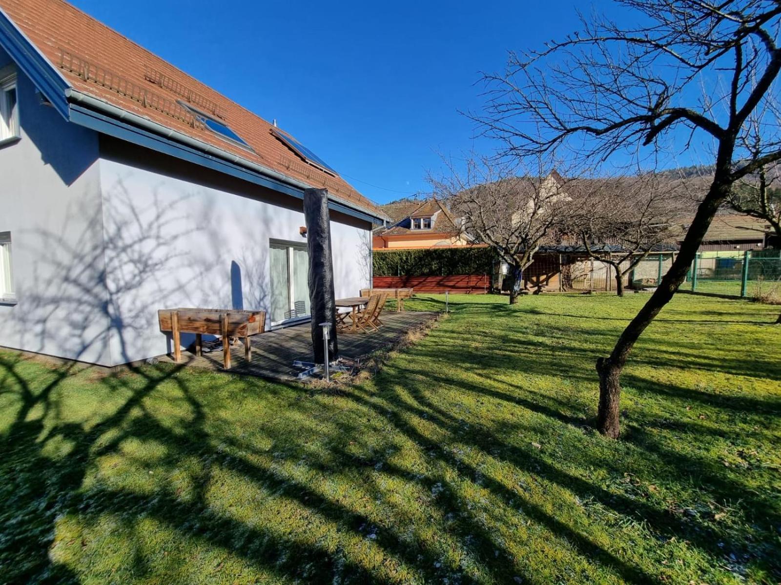Le Gite De Cleo, Maison Spacieuse Et Paisible. Metzeral Exterior foto